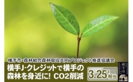 横手J‐クレジットで横手の森林を身近に! CO2削減 3.25t相当