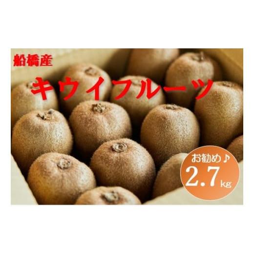 ふるさと納税 千葉県 船橋市 船橋産未追熟バラ詰めキウイフルーツ2.7kgを入れて、約2.8kg （2／1〜2／15発送）まるり※お届け日指定不可