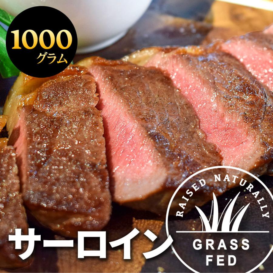 ニュージーランド産 グラスフェッドビーフ サーロイン ステーキ 約1kg（250g×4パック）牧草牛 冷凍 赤身 個包装