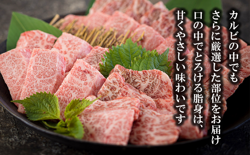 宮崎県産 黒毛和牛 特選 カルビ 焼肉 500g 牛肉 炒め BBQ バーベキュー キャンプ 普段使い 調理 おかず 料理 国産 送料無料 パック 厳選 カルビ丼 クッパ 焼肉丼 スープ チャーハン 生春巻き マリネ 照り焼き 甘辛炒め チンジャオロース 青椒肉絲