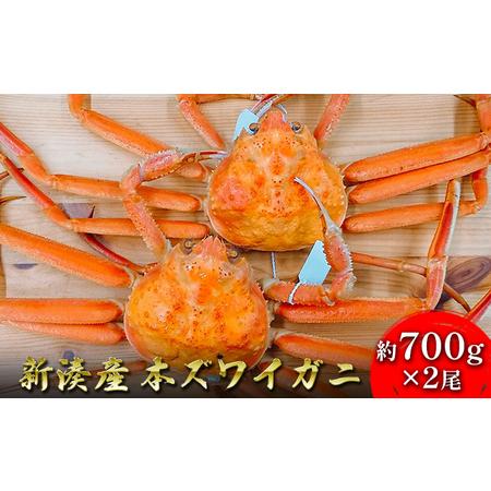 ふるさと納税 新湊産本ズワイガニ約700g×2尾 富山県射水市