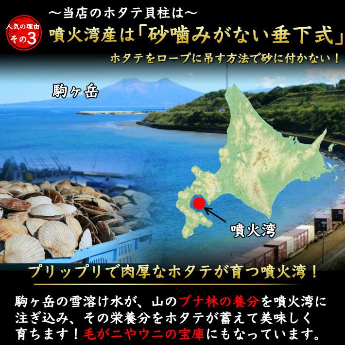 北海道正規品 生ホタテ 貝柱 1kg お刺身 噴火湾産 海鮮 お誕生日 ギフト