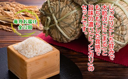 ★令和5年産★農林水産省の「つなぐ棚田遺産」に選ばれた棚田で育てられた 棚田米 土佐天空の郷　2kg食べくらべセット定期便 毎月お届け 全12回