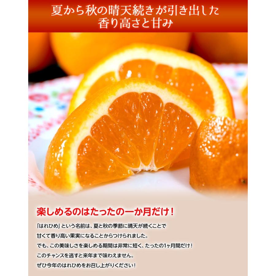 『はれひめ』愛媛県産柑橘 M〜3Lサイズ 約5kg 産地箱入 ※常温 送料無料