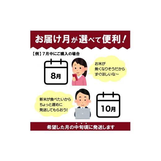 ふるさと納税 北海道 石狩市 140001 石狩米ななつぼし 5kg