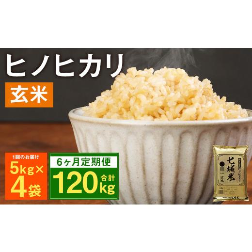 ふるさと納税 熊本県 菊池市 熊本県菊池産 ヒノヒカリ 玄米 計120kg（5kg×4袋×6回）米 お米 残留農薬ゼロ 低温貯蔵