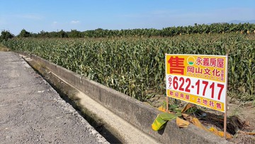 紘緯推薦美濃雙面臨路玉米田農地｜高雄市美濃區成功段