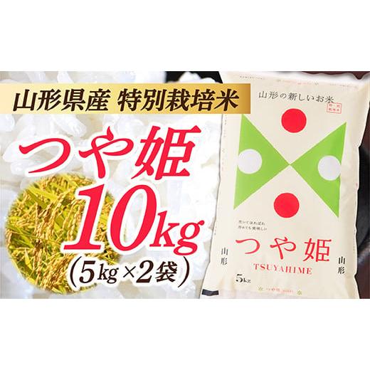 ふるさと納税 山形県 最上町 IG 山形県産 特別栽培米 つや姫10kg (5kg×2袋)