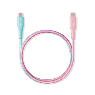 CASETIFY 雙頭 type-c usb c to usb c 適用蘋果 iPhone USB-C充電線