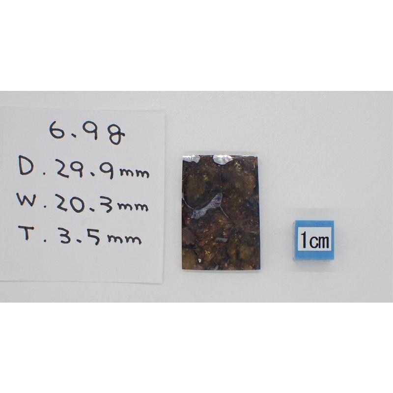 イミラック・パラサイト 6.9g　1個　石鉄隕石 Imilac Pallasite Meteorite