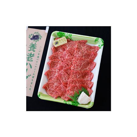 ふるさと納税 養老ハーブ牛　ロースまたは肩ロース　焼肉用　500g 岐阜県養老町