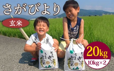 令和5年産 新米 さがびより 玄米 20kg（10kg×2袋）特A評価[HAC005]