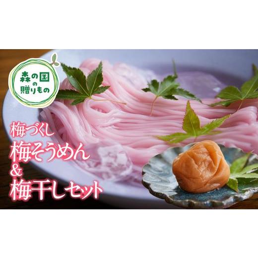 ふるさと納税 愛媛県 松野町 香りひろがる梅そうめん・梅干しセット※うす塩味（500g）