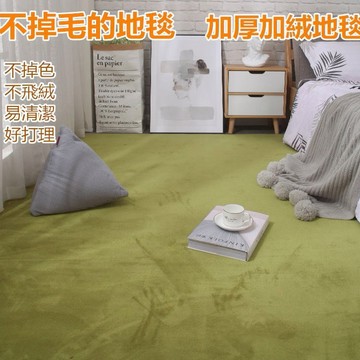 公司貨附發票🔥 珊瑚絨地毯 純色地墊 客廳大地毯 加厚加密 短毛 衛生間 臥室墊 衣帽間 樓梯 防滑墊 地毯 地墊 臥室