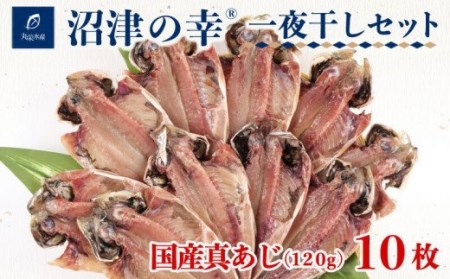 干物 魚 一夜干し 沼津の幸 真あじ 120g 10枚 セット 真鯵 (A) 