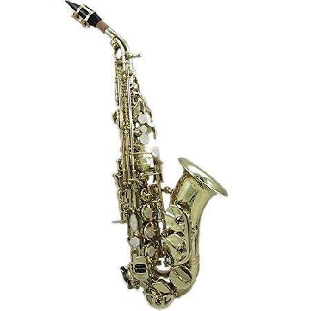 SKY Bb Curved Soprano Saxophone with Case and Accessories