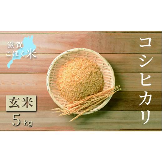 ふるさと納税 滋賀県 長浜市 令和5年 滋賀県湖北産 湖北のコシヒカリ 5kg(玄米)