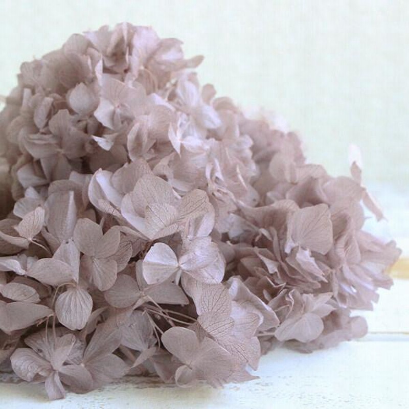 プリザーブドフラワー 花材》☆即日出荷☆東花 ソフトあじさい美咲 オールドライラック アジサイ あじさい 紫陽花 花びら プリザーブドフラワー 花  通販 LINEポイント最大0.5%GET LINEショッピング
