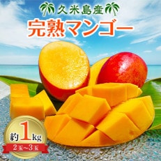 久米島産完熟マンゴー1kg