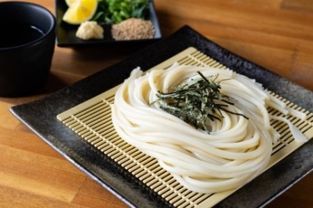 手延べうどん 半生タイプ 20袋入り