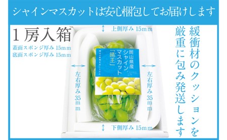 ぶどう 2024年 先行予約 シャイン マスカット 晴王 1房 約670g 晴れの国 おかやま 岡山県産 フルーツ王国 果物王国