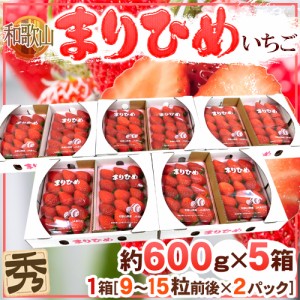 和歌山県 ”まりひめいちご（毬姫苺）” 秀品 2パック入り（1パック 9～15粒 約300g）×《5箱》 送料無料