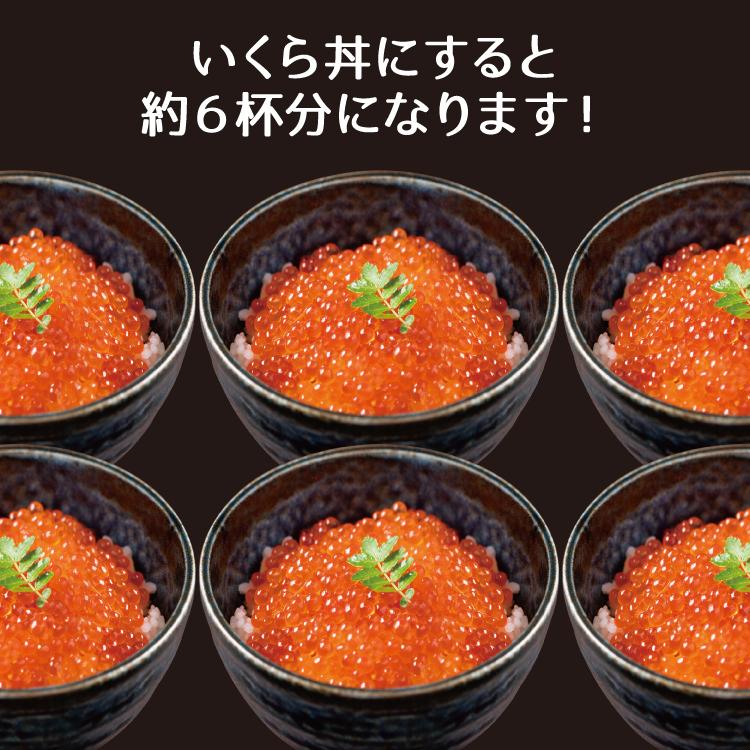 お歳暮 いくら醤油漬け イクラ 鱒いくら 500g（250g×２）いくら丼