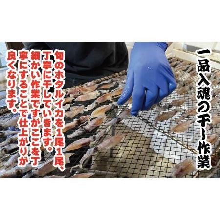 ふるさと納税 越前産 ほたるいか 素干し 50gｘ5パック [A-007004] 福井県福井市