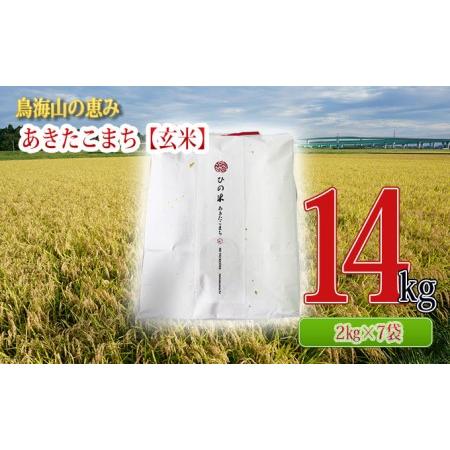 ふるさと納税 秋田県産 あきたこまち 玄米 14kg（2kg×7袋）神宿る里の米「ひの米」（お米 小分け） 秋田県にかほ市