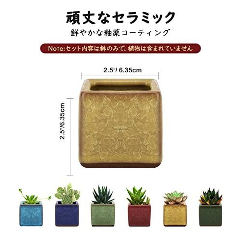 植木鉢 6個入り Lewondr 多肉植物ポット プランター 陶器鉢 盆栽 窓