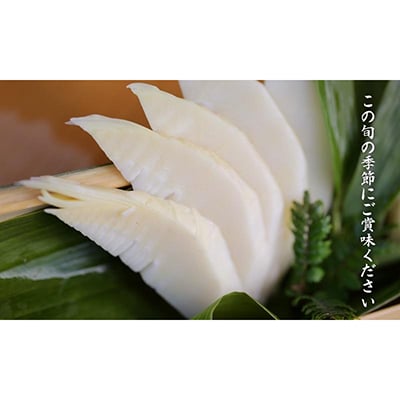 京都産 朝堀り湯がきたけのこ 優秀品 1KG(3-5本)皮なし