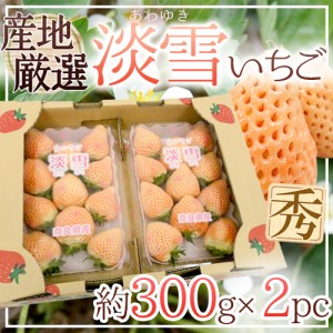 ”白いちご 淡雪いちご” 2pc（1pcあたり約300g） 産地厳選 送料無料