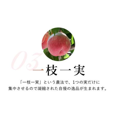 ふるさと納税 ＜2024年先行予約＞特大桃 5〜6個入り 約2.0kg 山梨一宮産の桃 朝採り 産地直送  088-001 山梨県笛吹市