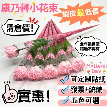 【⚡桃園出貨⚡電子發票🌈康乃馨花束】大量批發 康乃馨小花束 母親節花束 玫瑰花 康乃馨小支花 香皂花 肥皂花
