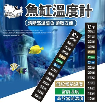 【台灣出貨】液晶魚缸溫度計｜貼片式溫度計｜魚缸溫度計｜水族溫度計｜水溫計｜貼片水溫計｜魚缸水溫計｜10~36℃溫度計