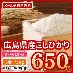 ポイント消化 お米 送料無料 広島県産 コシヒカリ 令和5年産 お試し 750g ※メール便のため代引・日時指定不可