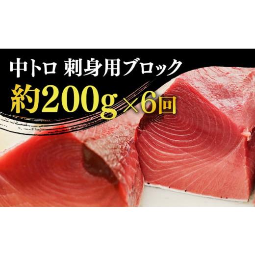 ふるさと納税 長崎県 新上五島町  五島列島産 養殖 生本かみマグロ 中トロ 200g …