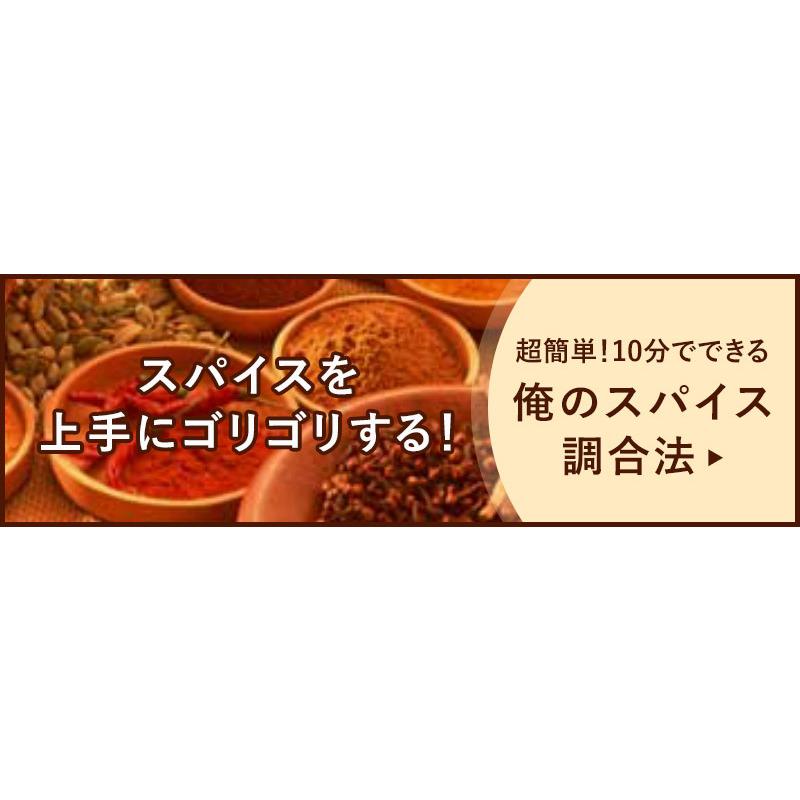 カレー　スパイス　お得　セット　20種　詰合せ（60皿分）　俺のカレー