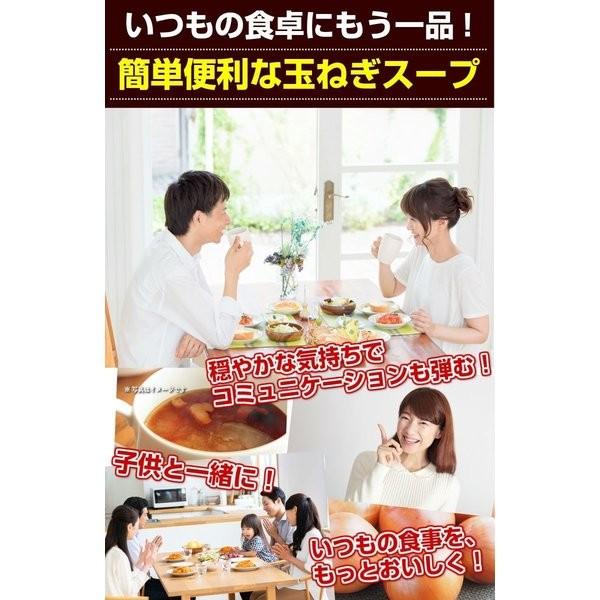 玉ねぎスープたまねぎスープ 訳あり 業務用 粉末 個包装  送料無料 詰め合わせ