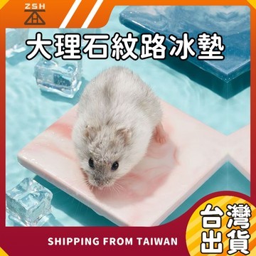 【現貨】倉鼠大理石紋路冰墊 倉鼠降溫墊 倉鼠涼感墊