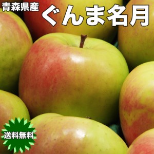 りんご 10Kg 送料無料 青森県産 ぐんま名月 秀品 10kg 幻の りんご 青森 ぐんま 名月 りんご 10Kg 正品 ギフト お歳暮 ギフト 11月下旬頃