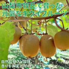 山梨市牧丘産　キウイフルーツ(栽培期間中、農薬不使用) 1kg程度