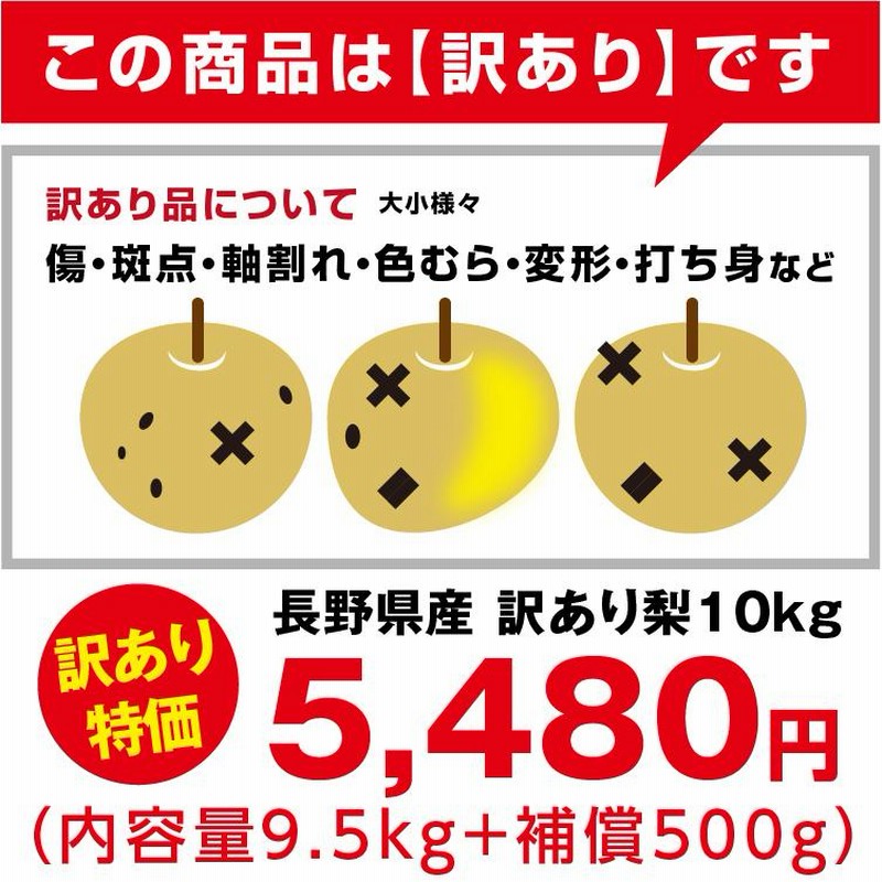 アイナ約10kg訳ありご家庭用×2★送料込★秋田県産 南水梨 梨 10kg 名産地の新興梨 ご家庭用 送料無料 食品 : 食みらい・国
