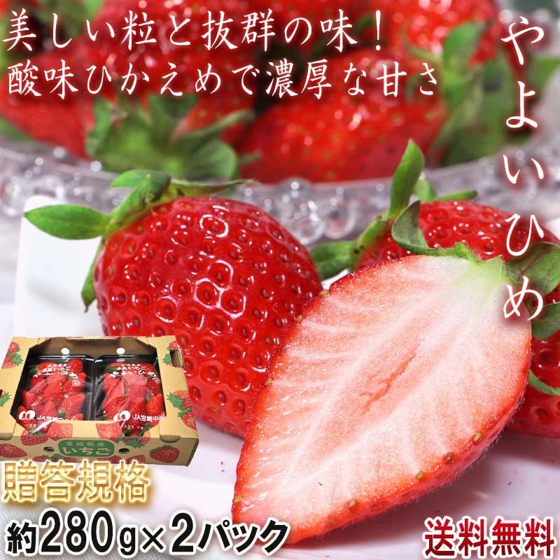 産地直送 やよいひめ いちご 280g×2パック 宮崎県産 贈答規格 酸味控えめで甘み豊かな新品種！　鮮度抜群