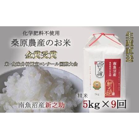 ふるさと納税 （新米予約）桑原農産のお米5kg×9ヵ月　南魚沼産新之助 新潟県南魚沼市