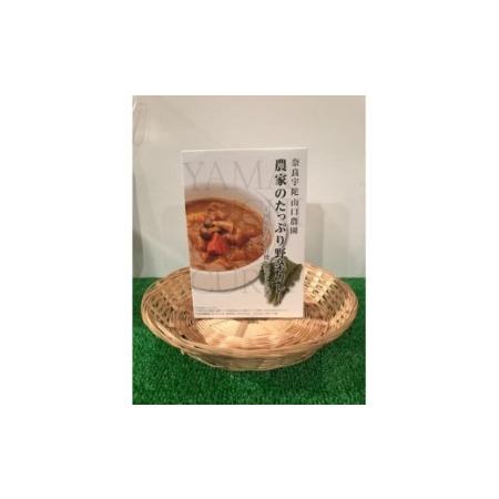 ふるさと納税 定期便 ３ヶ月 山口農園 有機野菜 おまかせセット＋カレー２箱 詰合せ 冷蔵 月１回 ／ オーガニック 伝統野菜 レトルトカレー 奈良.. 奈良県宇陀市