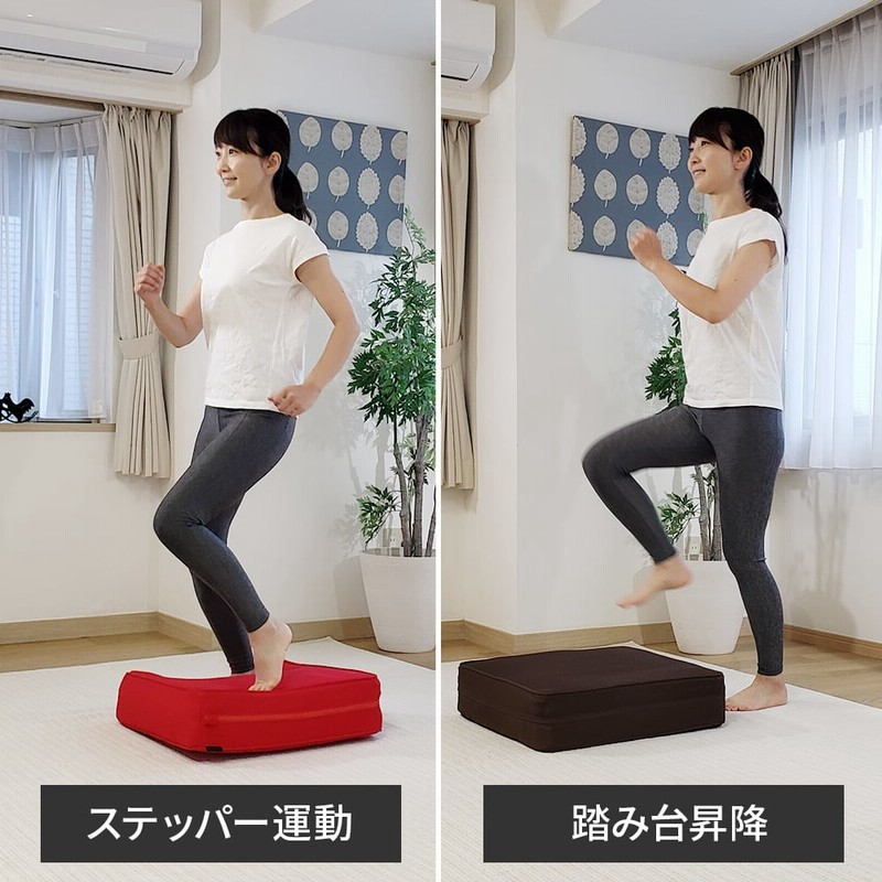 パーフェクトエクサ(レッド)