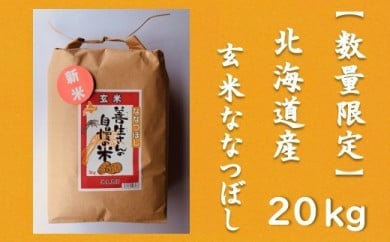 令和5年産！『100%自家生産玄米』善生さんの自慢の米 玄米ななつぼし２０kg※一括発送