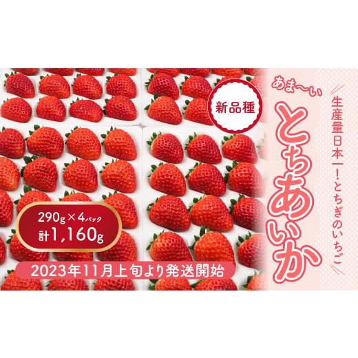 ふるさと納税 栃木県 さくら市 とちあいか 290g×4パック※2023年11月上旬頃より順次発送予定