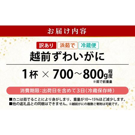 ふるさと納税 浜茹で 越前がに 約700〜800g × 1杯（茹で前重量） 食べ方しおり付き【雄 ズワイガニ ずわいがに かに カニ 蟹 姿 .. 福井県越前町